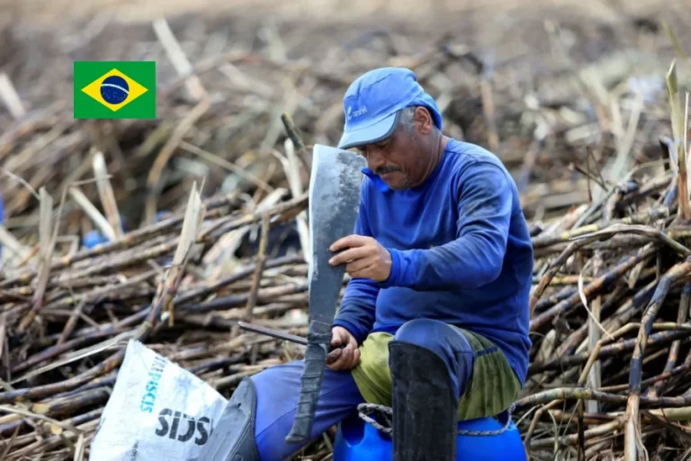 حقوق کارگر ساده در برزیل