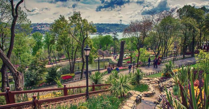 پارک جنگلی استانبول