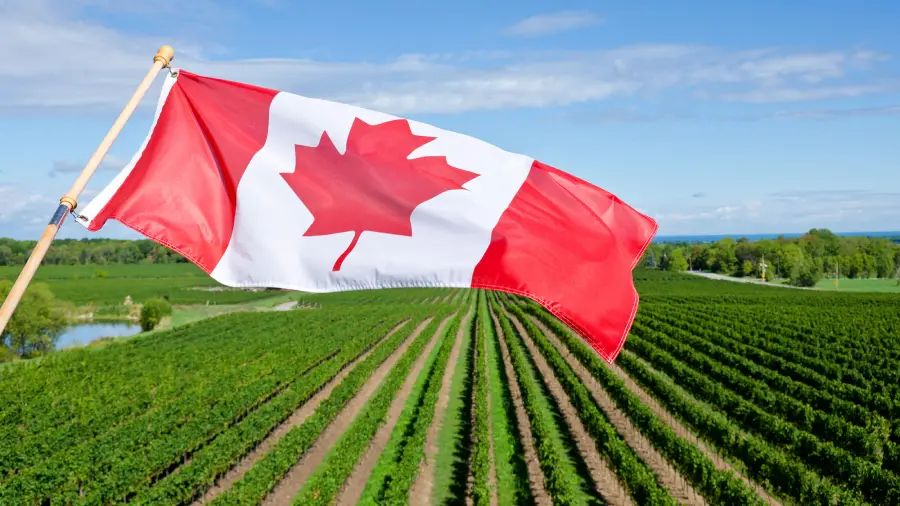 کشاورزی کانادا