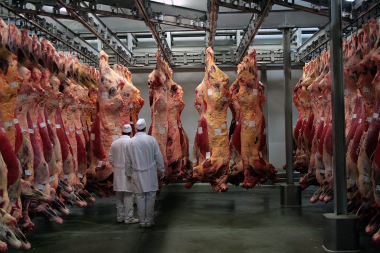بزرگترین تولید کننده گوشت جهان