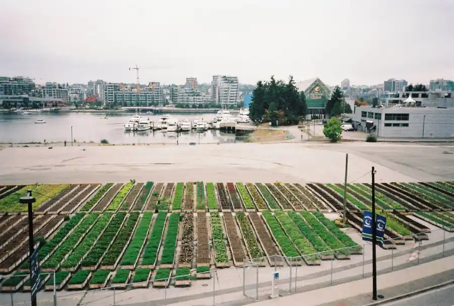 کشاورزی شهری در ونکوور