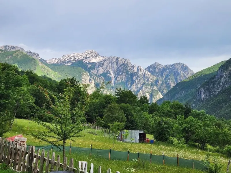 تصویر پارک ملی تِتی