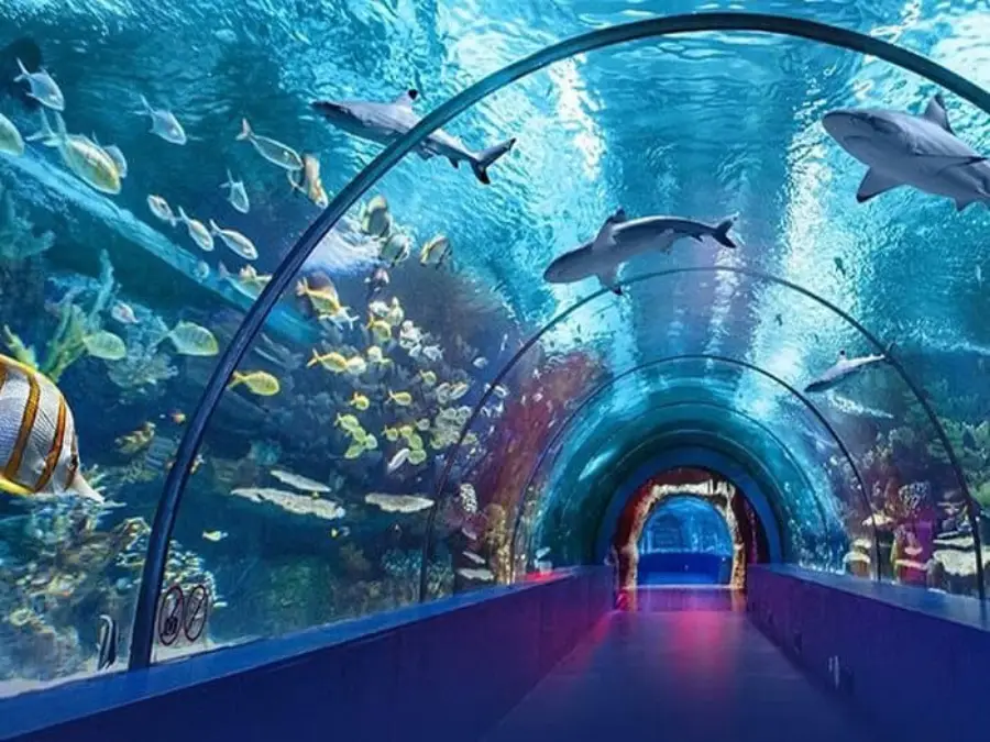 تصویر موزه آکواریوم آنتالیا (Antalya Aquarium)