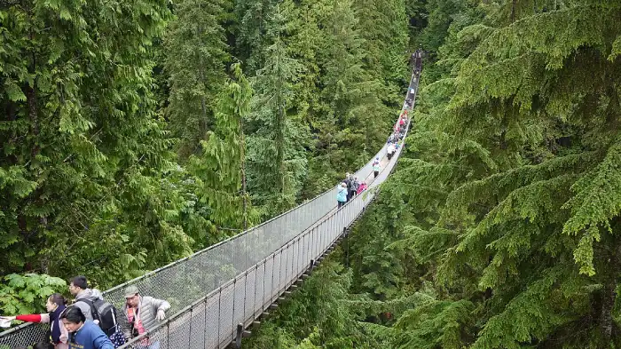 تصویر پل معلق کاپیلانو (Capilano Suspension Bridge)