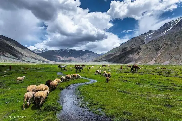 تصویر پارک ملی دیوسای (Deosai National Park)