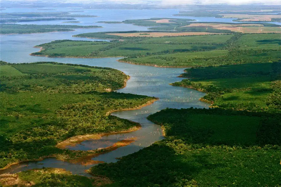 تصویر ایب‌را مارشز (Ibera Wetlands)