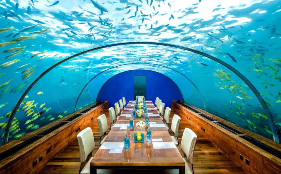 تصویر رستوران زیر آب ایتا (Ithaa Undersea Restaurant)