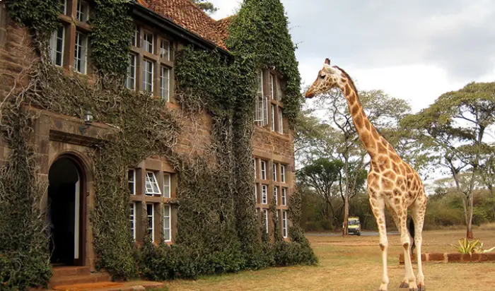 تصویر مرکز کارن بلیکسن (Karen Blixen Museum)