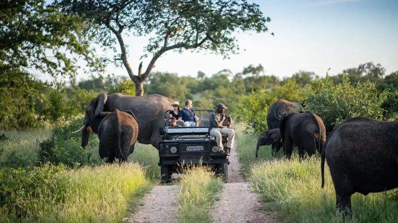 تصویر پارک ملی کروگر (Kruger National Park)