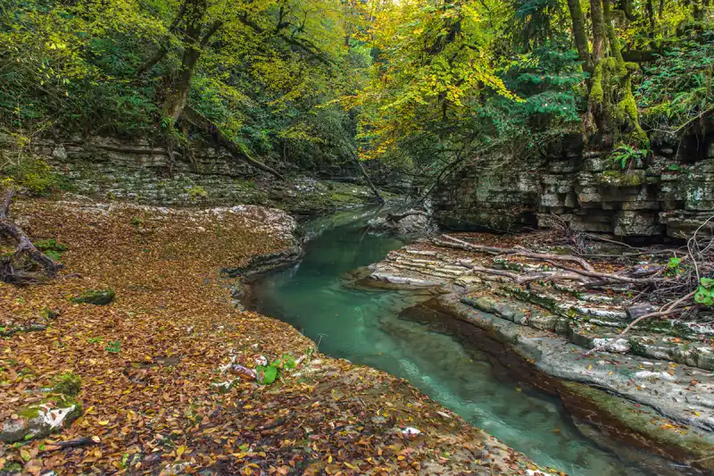 تصویر پارک ملی سوچی (Sochi National Park)