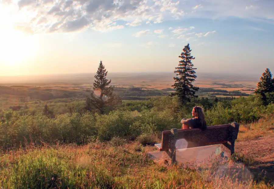 تصویر تپه‌های سایپرس (Cypress Hills)