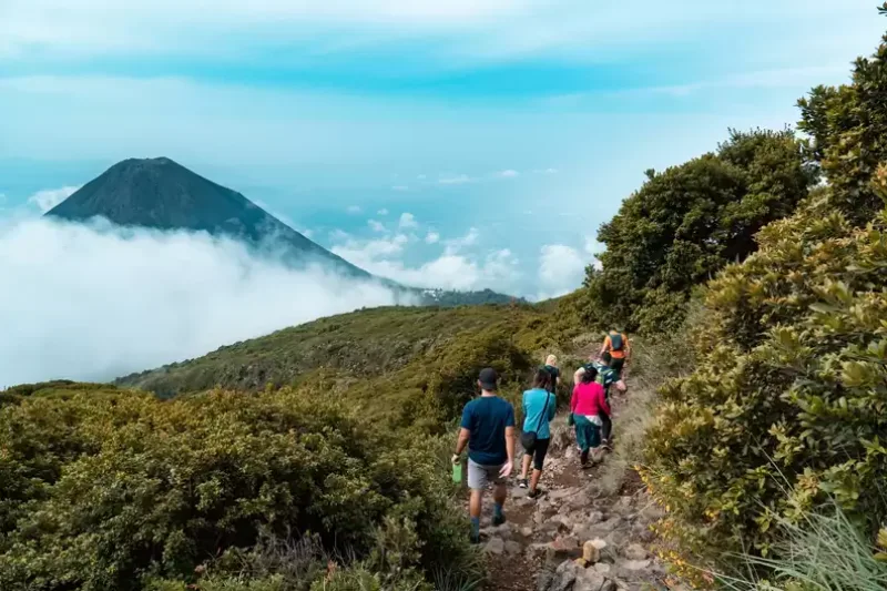 تصویر پارک ملی "سرو ورد" (Cerro Verde National Park)