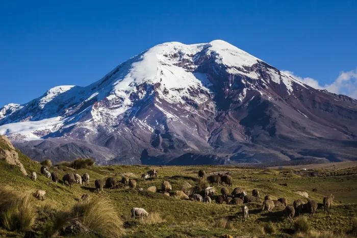 تصویر چیمبورازو (Chimborazo)