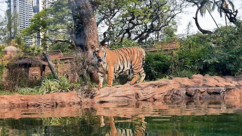 تصویر باغ‌وحش دهلی (Delhi Zoo)