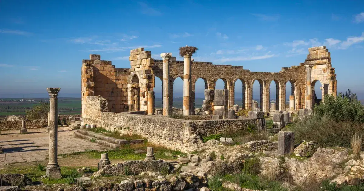 تصویر Volubilis